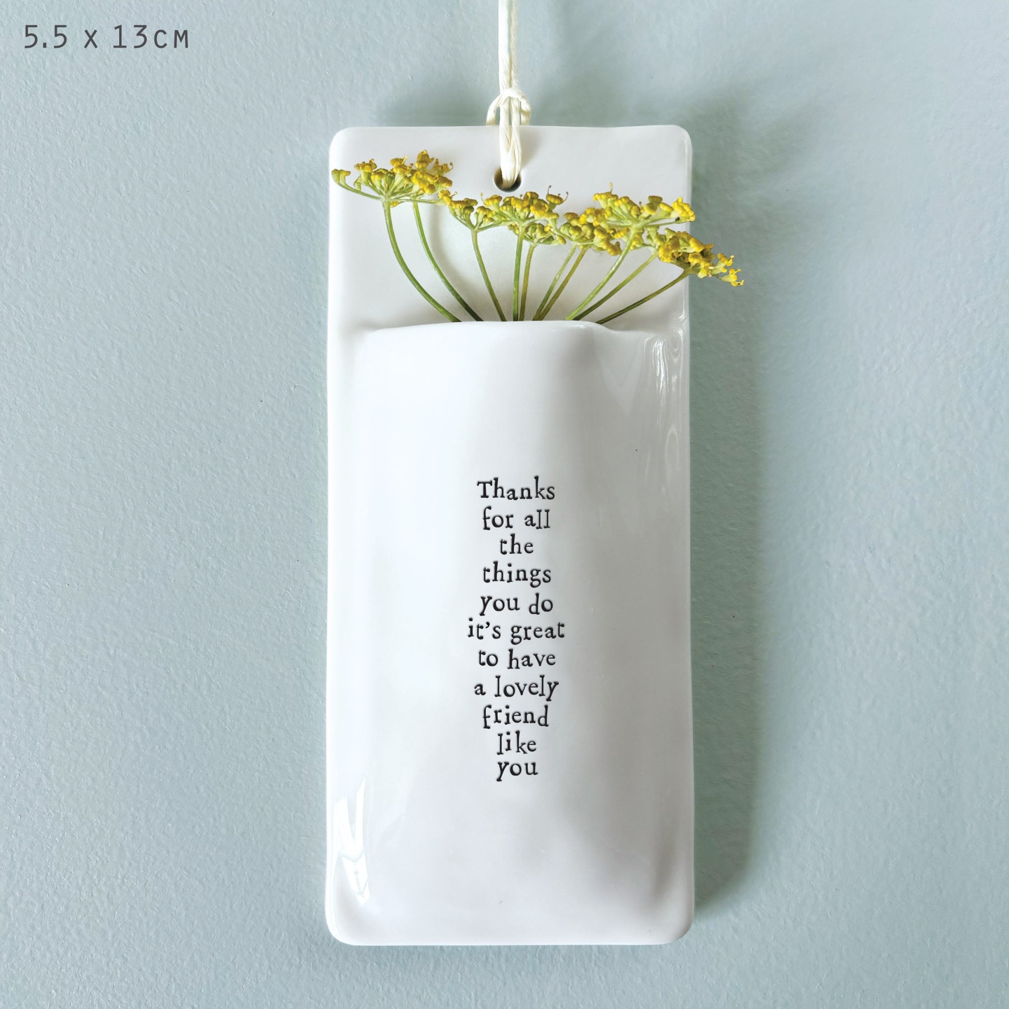 Lovely friend hanging vase image 0