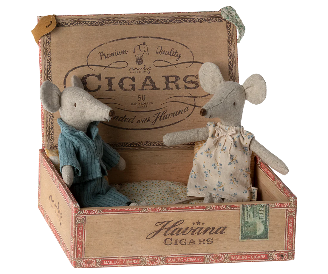 Mum and dad mice in cigar box image 0