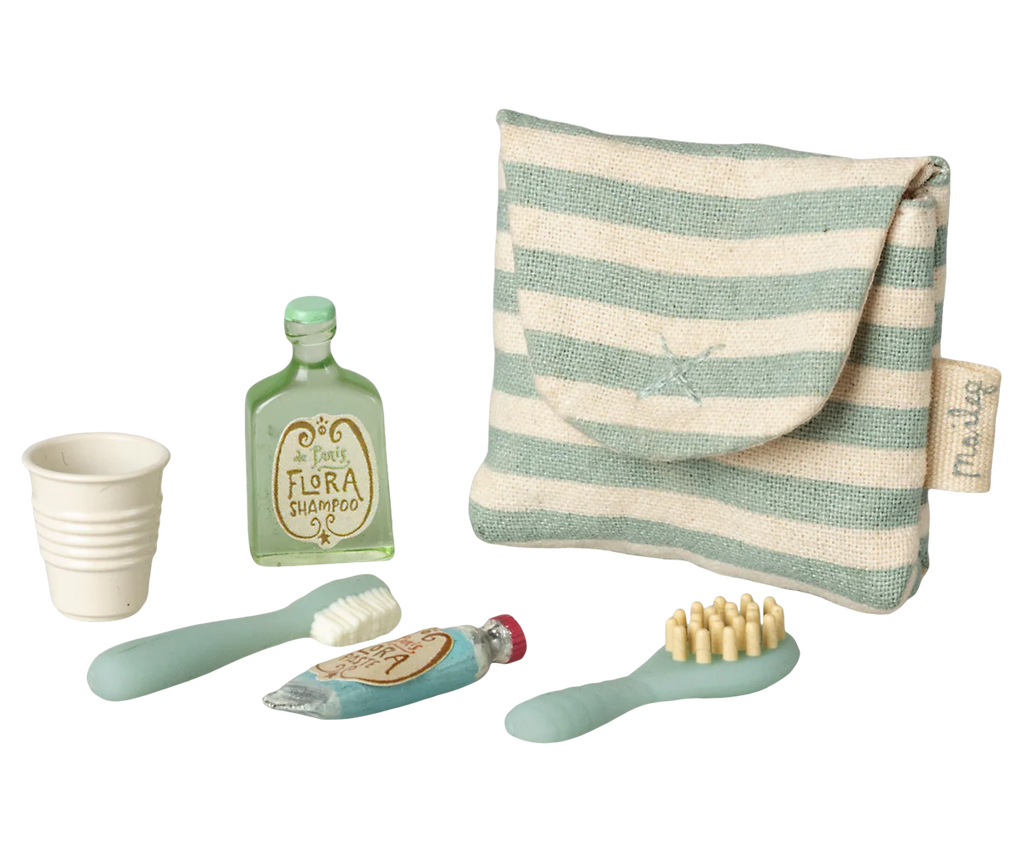 Toothbrush set in bag