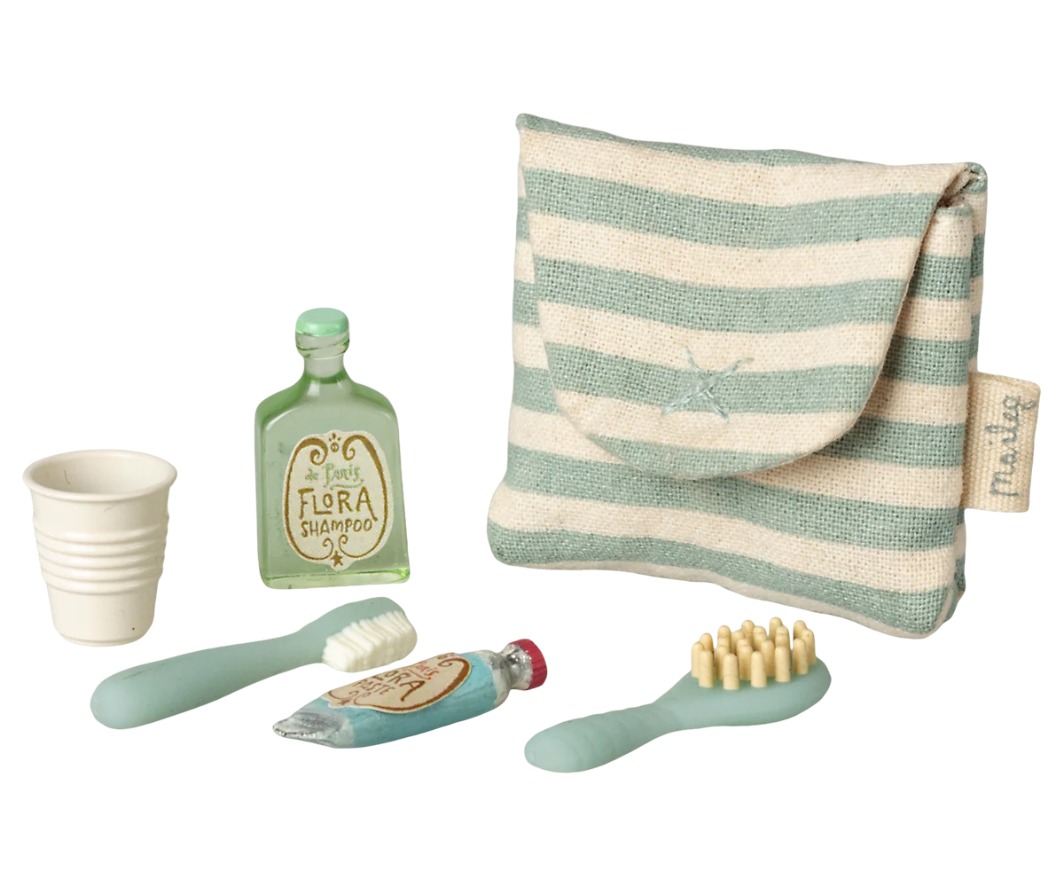 Toothbrush set in bag