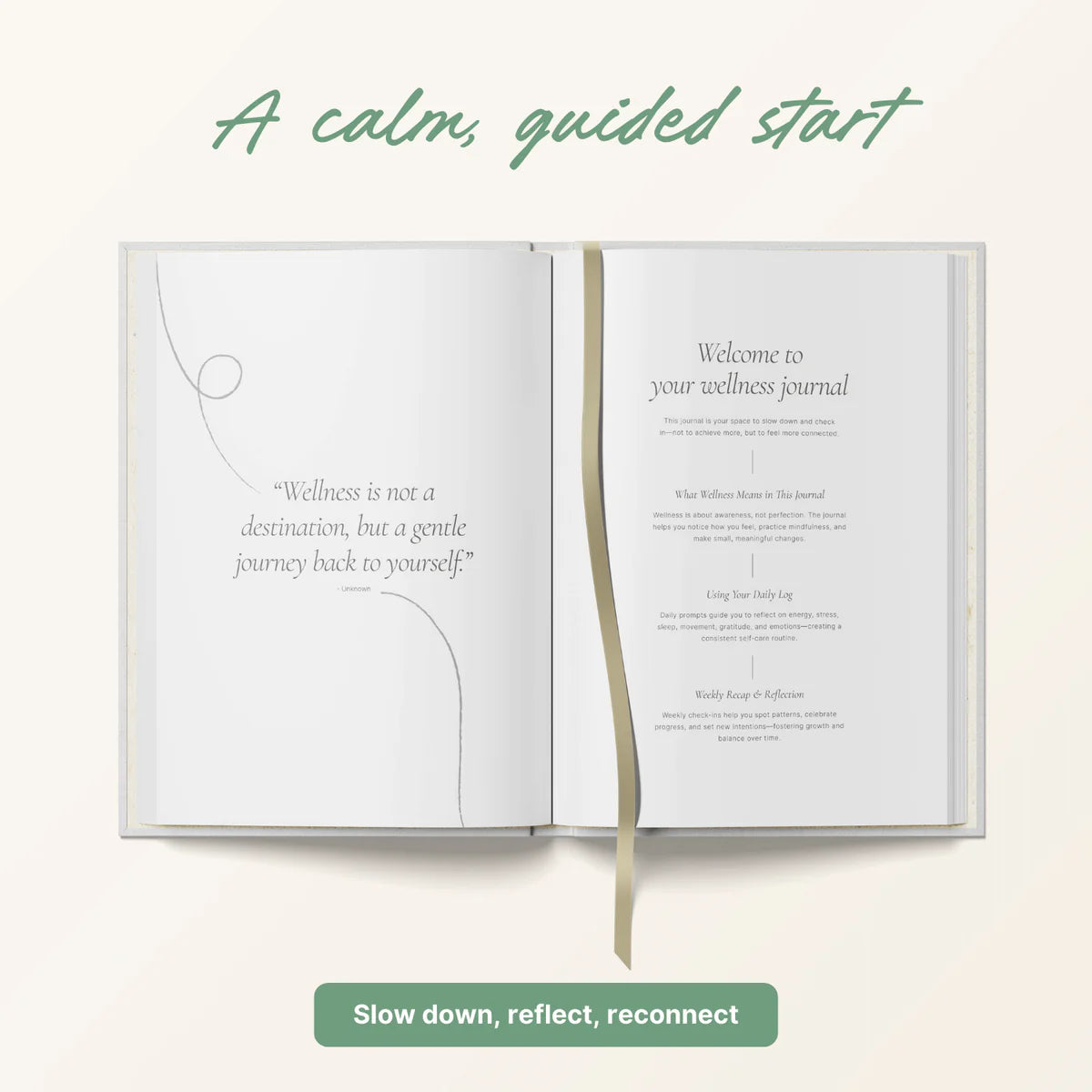 Yop & Tom wellness journal  image 1