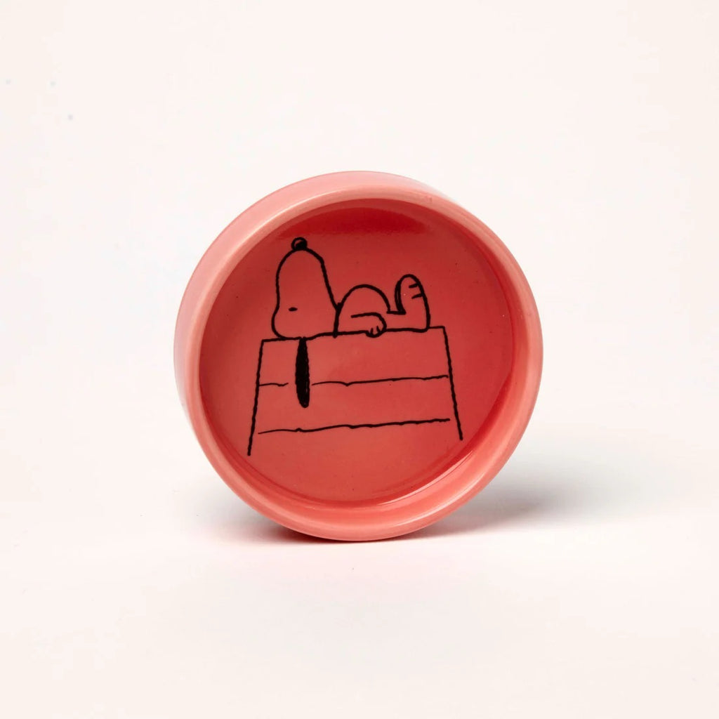 Peanuts pin dish home  image 1