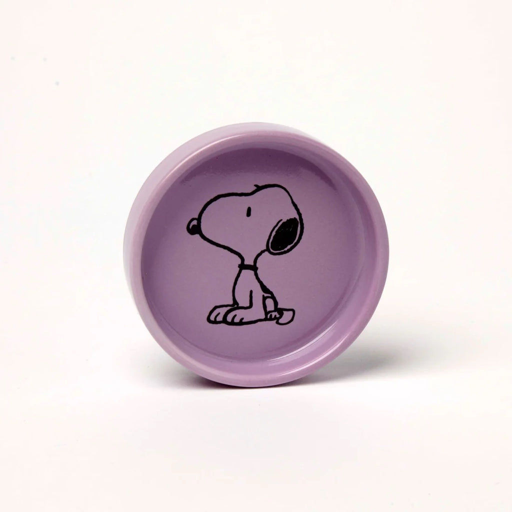 Peanuts pin dish sit! image 1