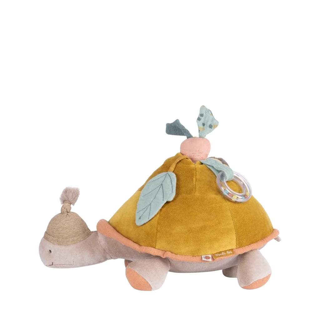 Activity turtle  image 1