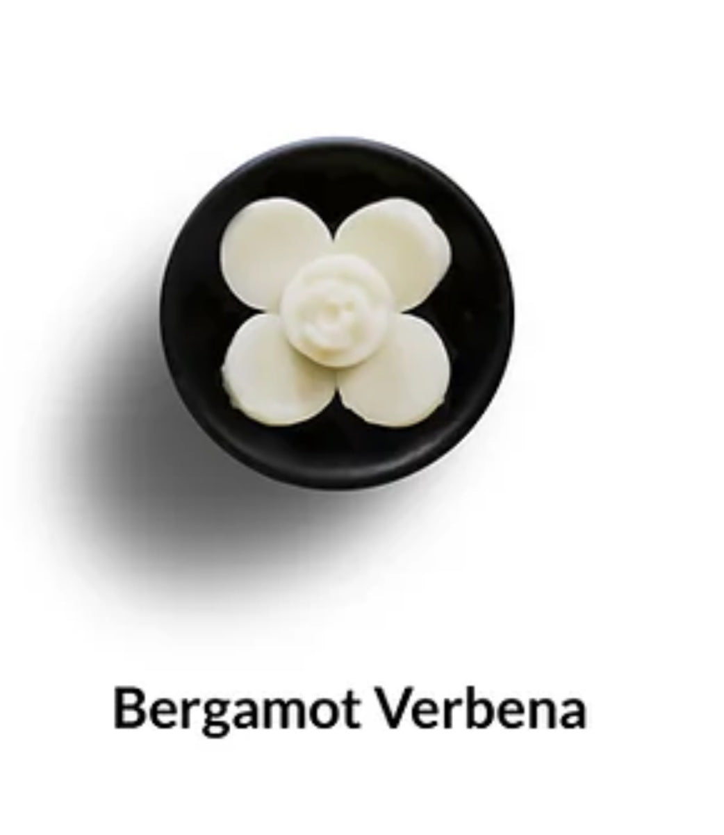 Bergamot Verbena image 0