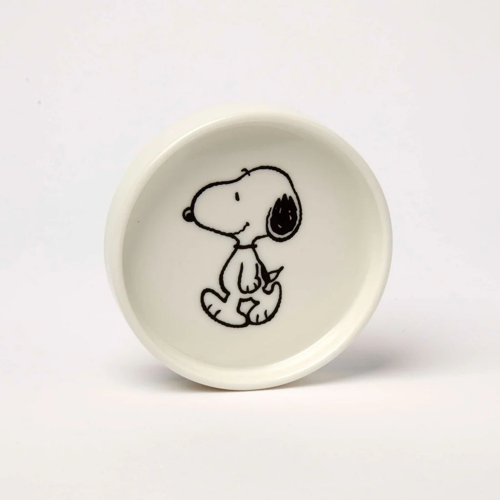Peanuts round trinket dish walk  image 1