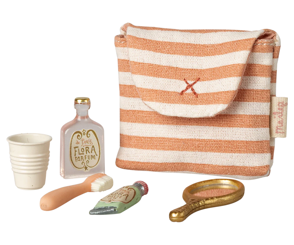 Toothbrush set in bag