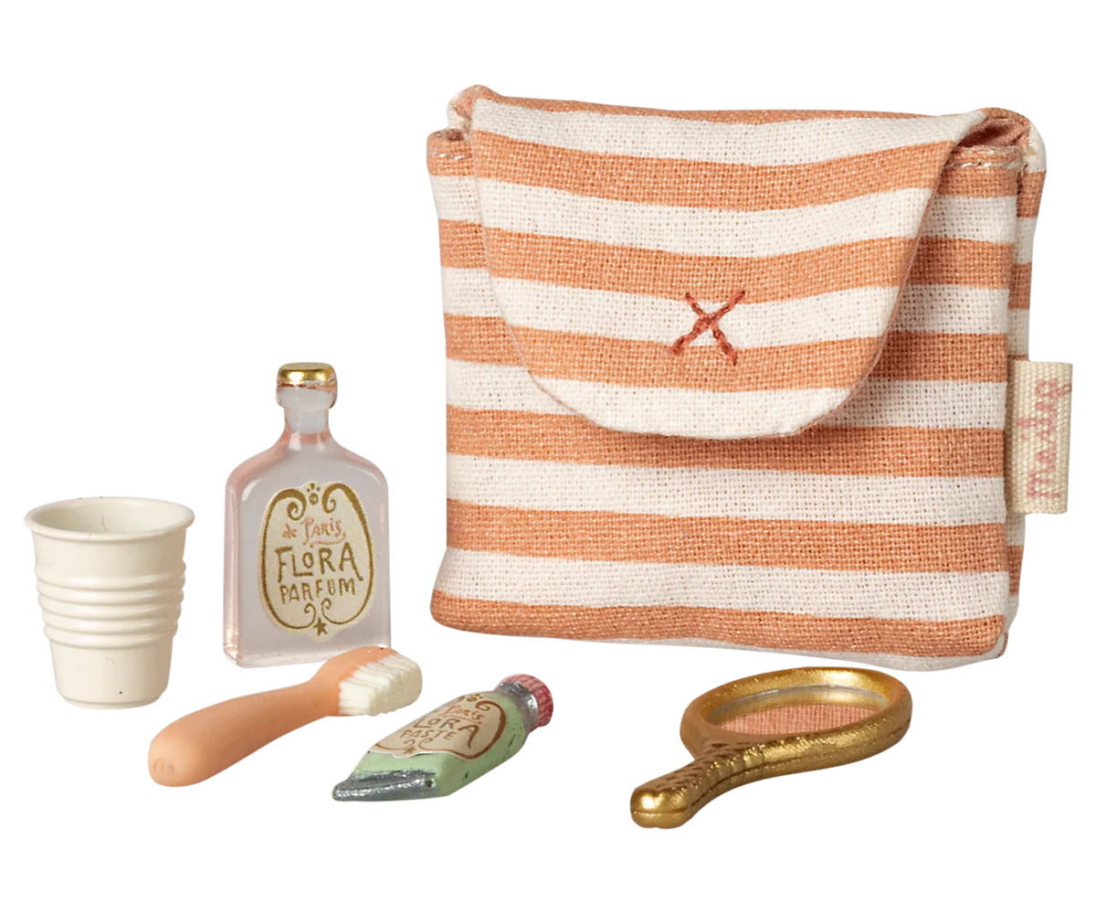 Toothbrush set in bag