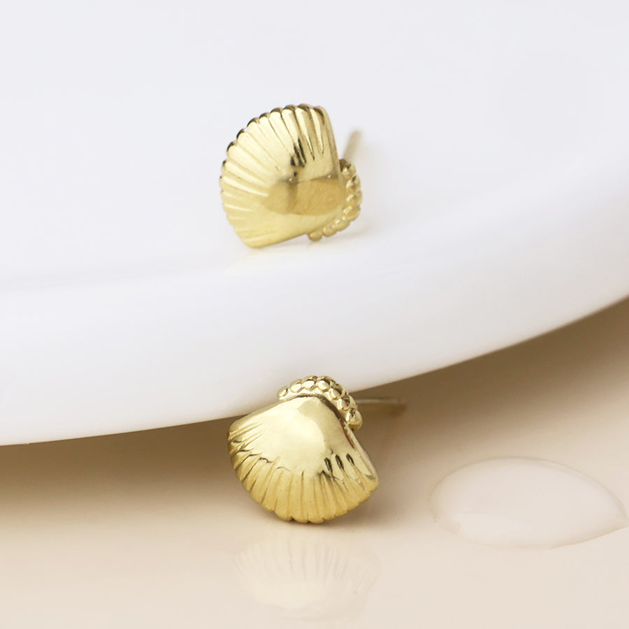 Shell earrings
