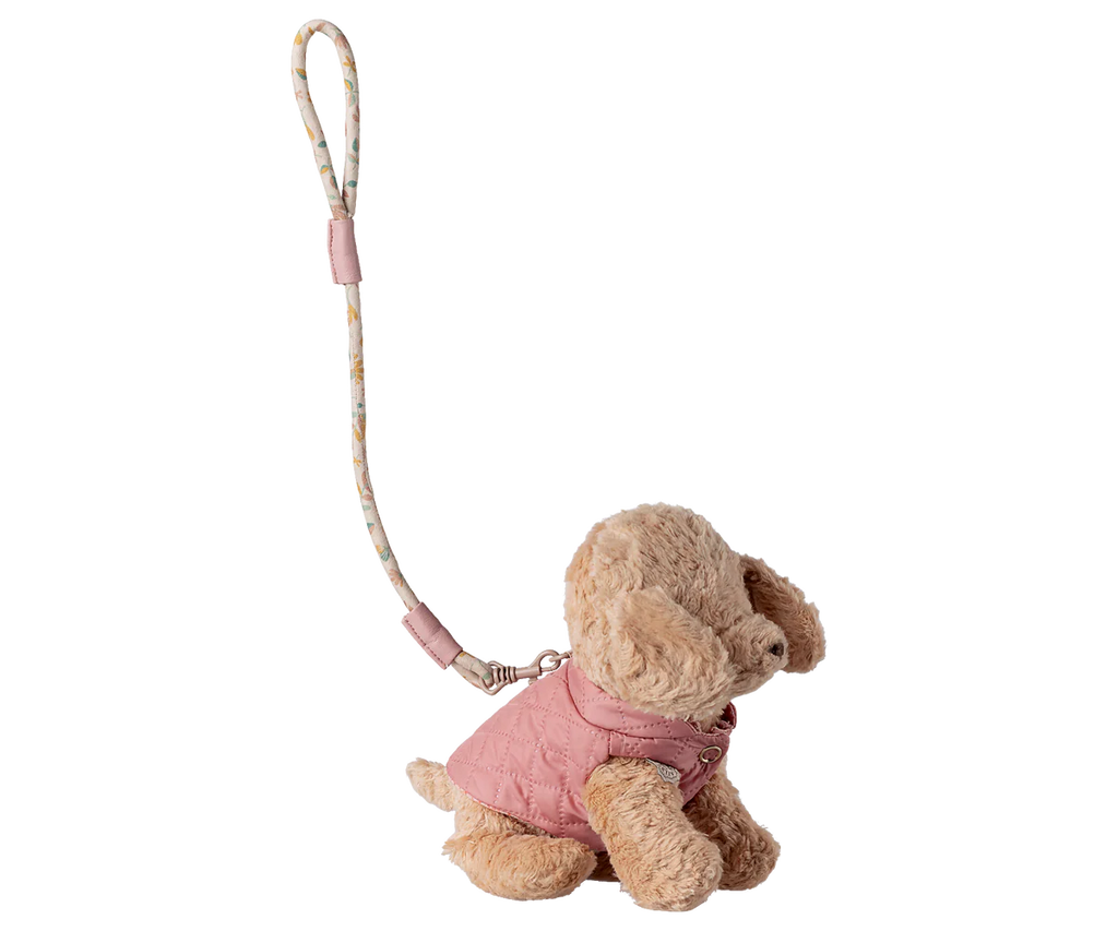 Pet supply harness and leash - rose