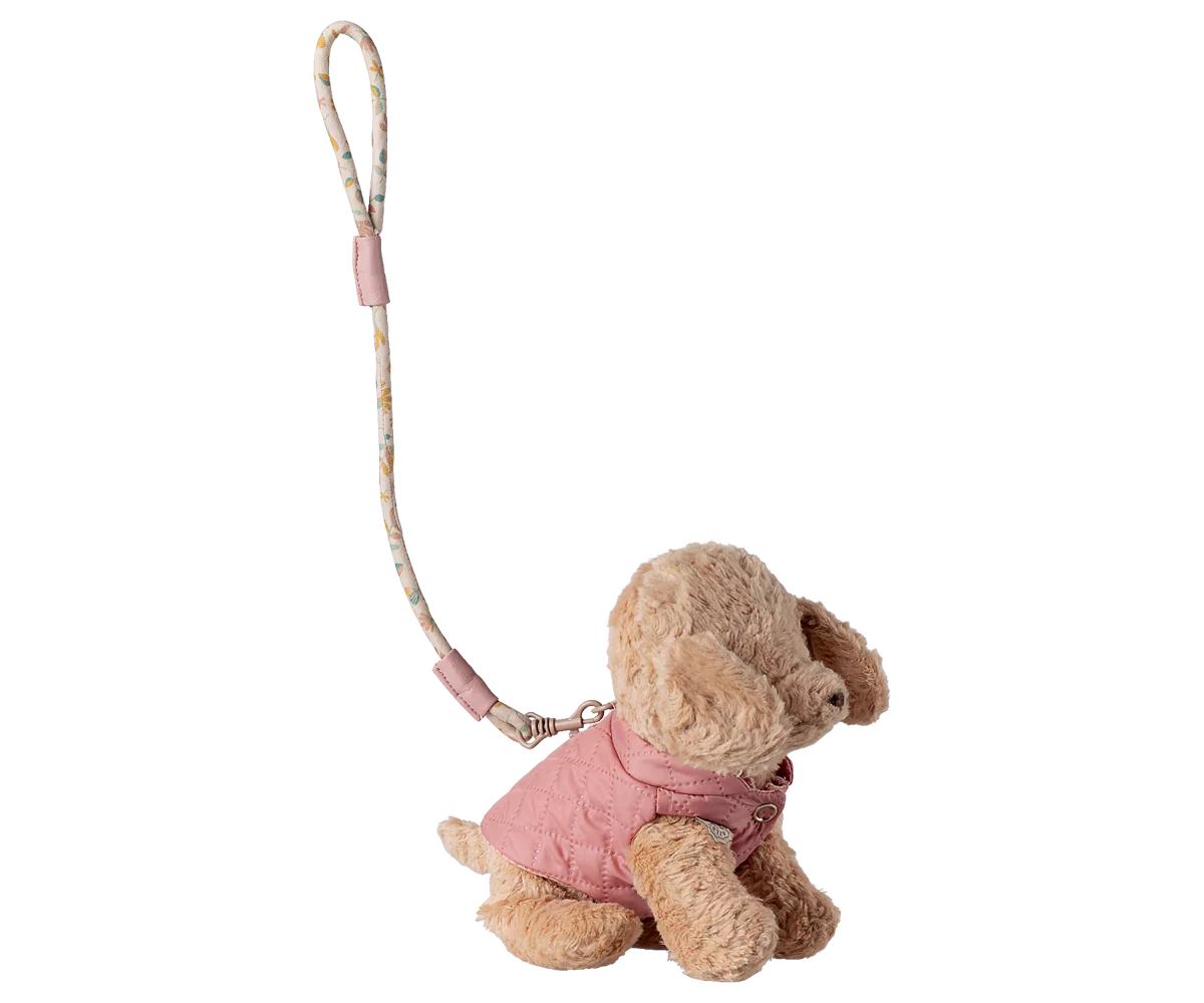 Pet supply harness and leash - rose