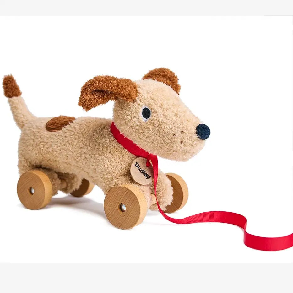Tenderleaf Dudley pull along dog