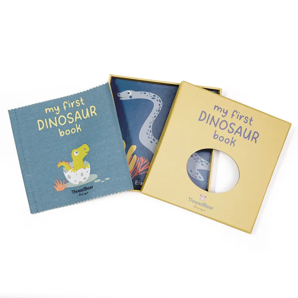 My first dinosaur book