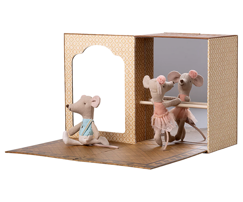Ballet mice in dance studio little sister and brother