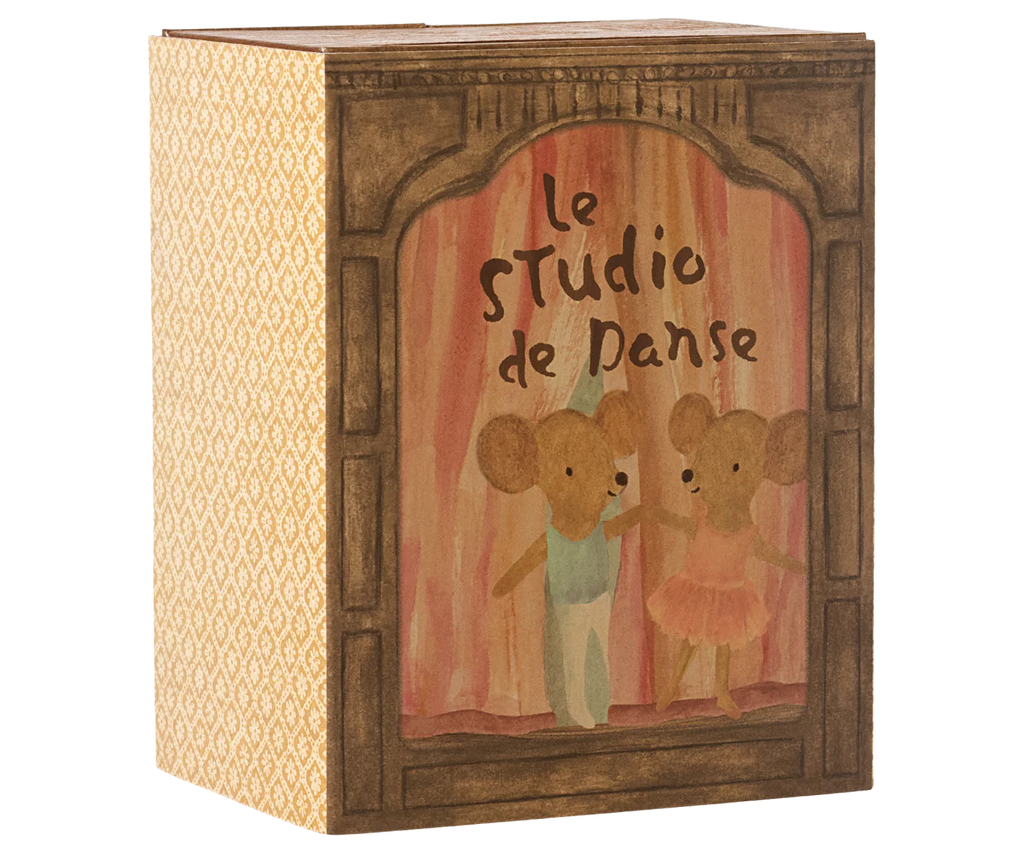 Ballet mice in dance studio little sister and brother