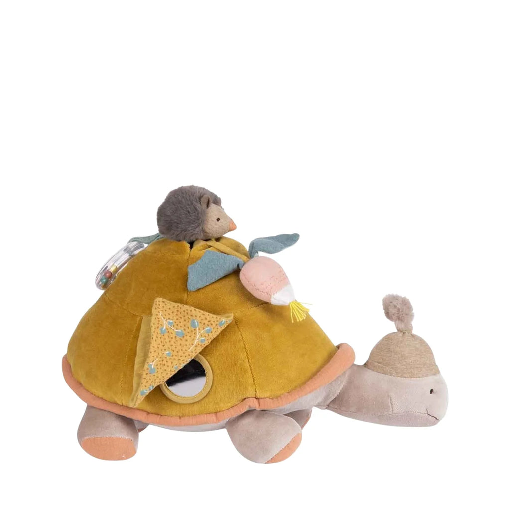 Activity turtle  image 0